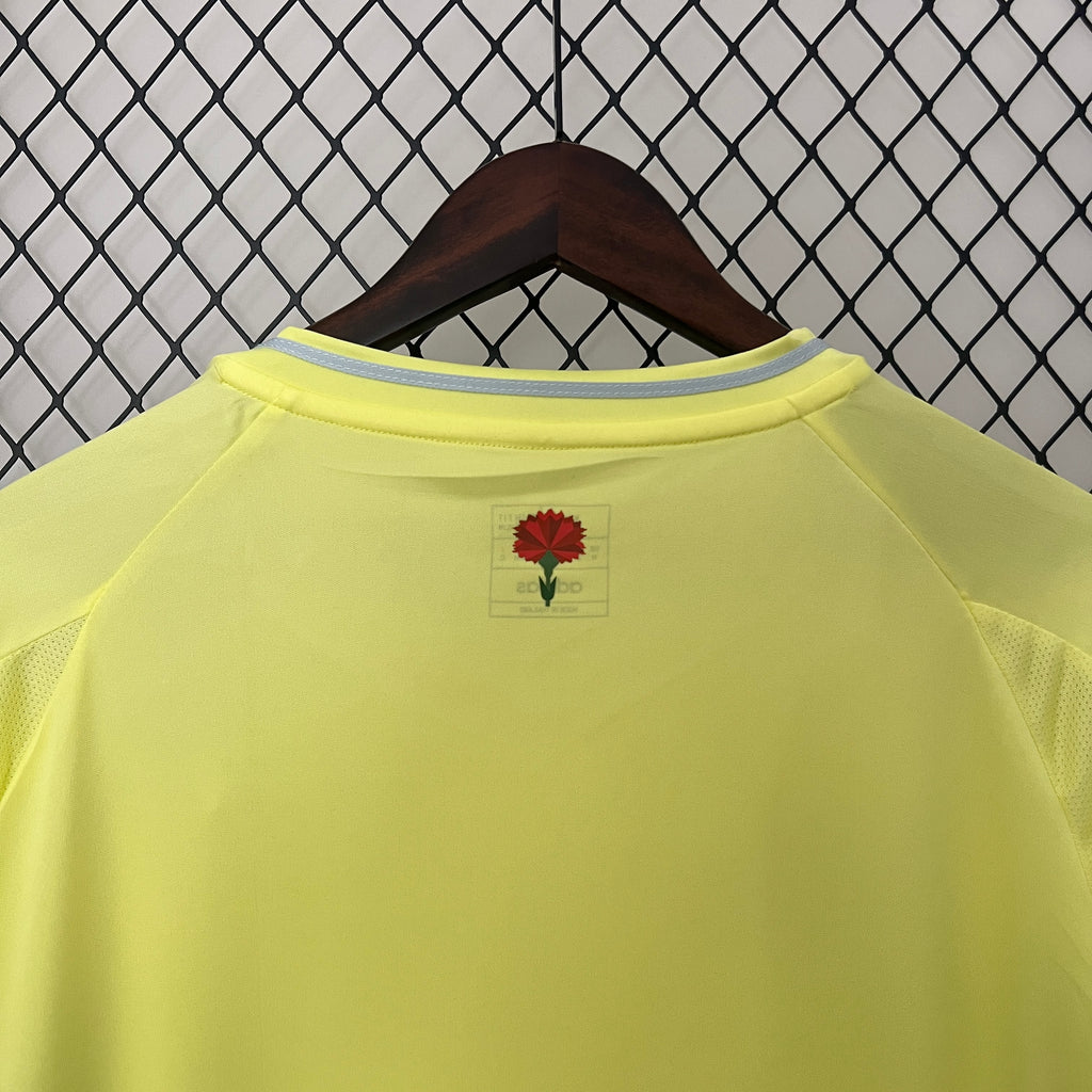 Camisola Alternativa Espanha 2024