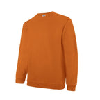 SWEATSHIRT SW298