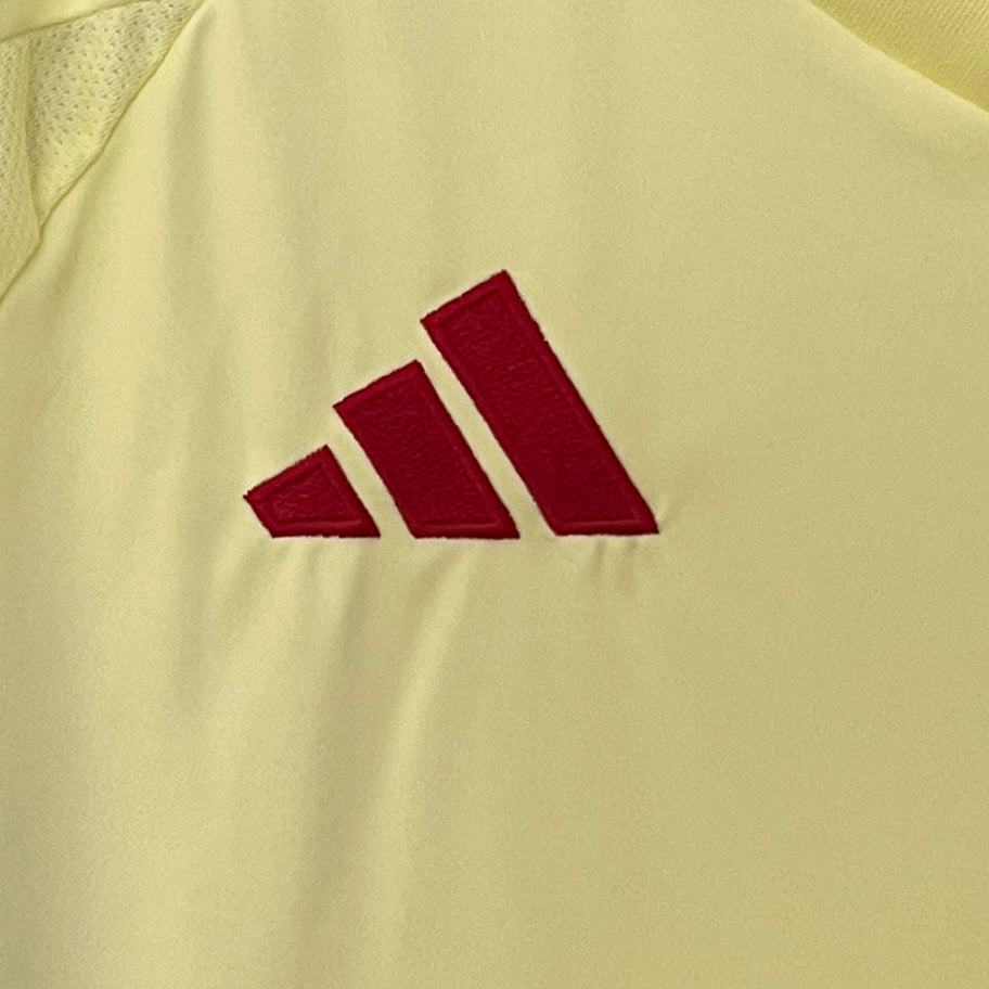 Camisola Alternativa Espanha 2024