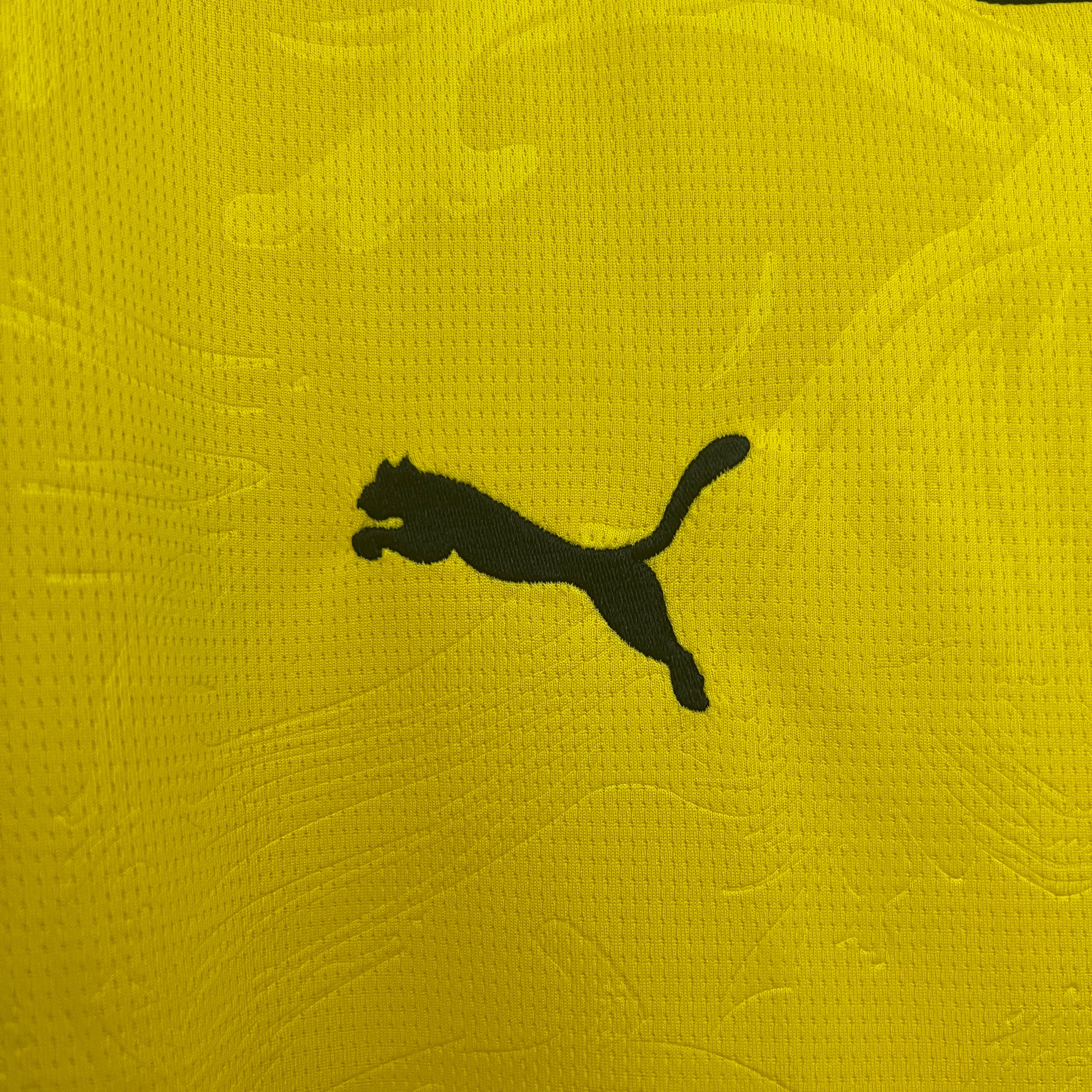 Camisola Edição Especial Borussia Dortmund 2025/2026