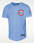 Chicago Cubs Camisa Nike MLB Stadium