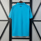 Camisola Alternativa Santos FC 2025/2026