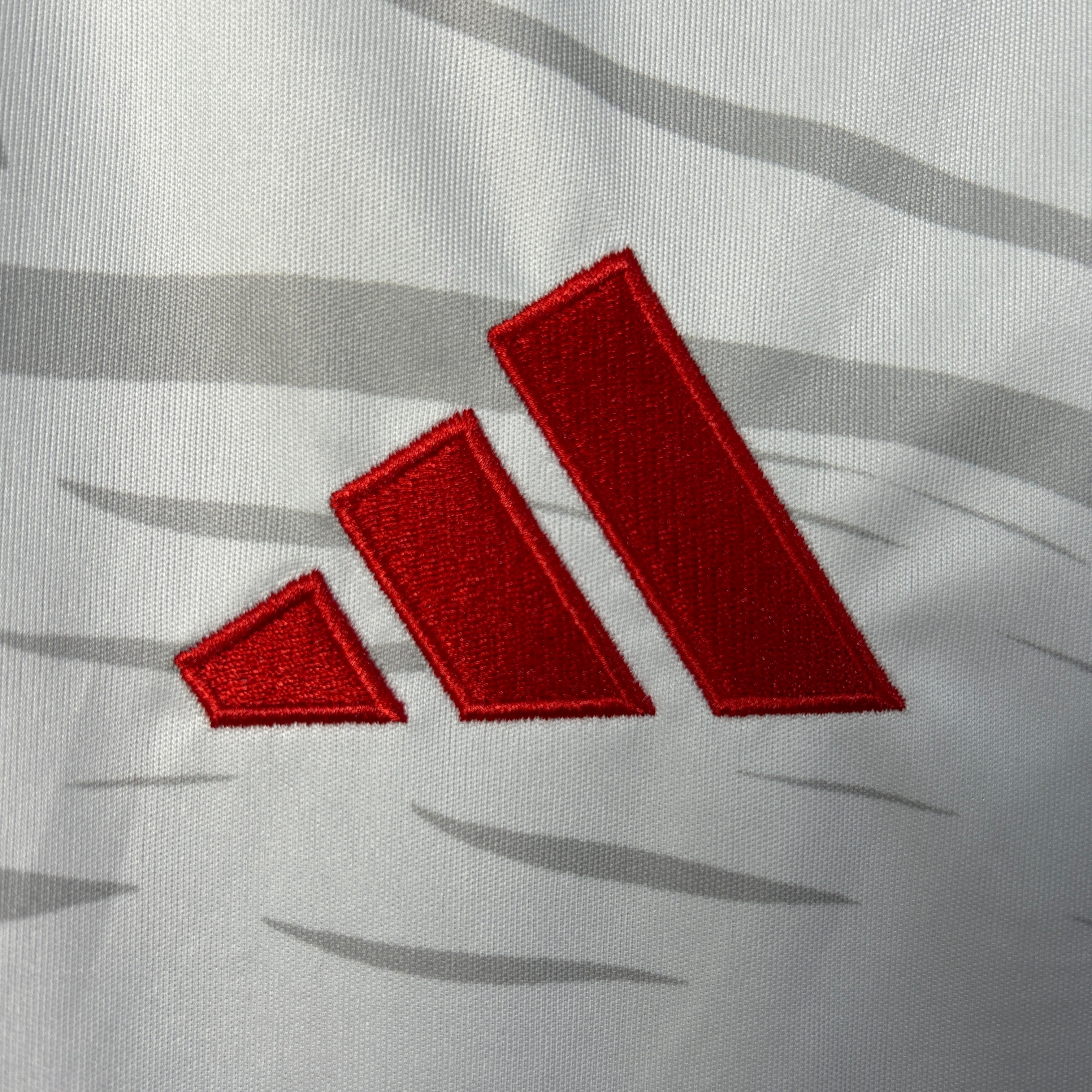 Camisola Edição Especial SL Benfica 2025/2026