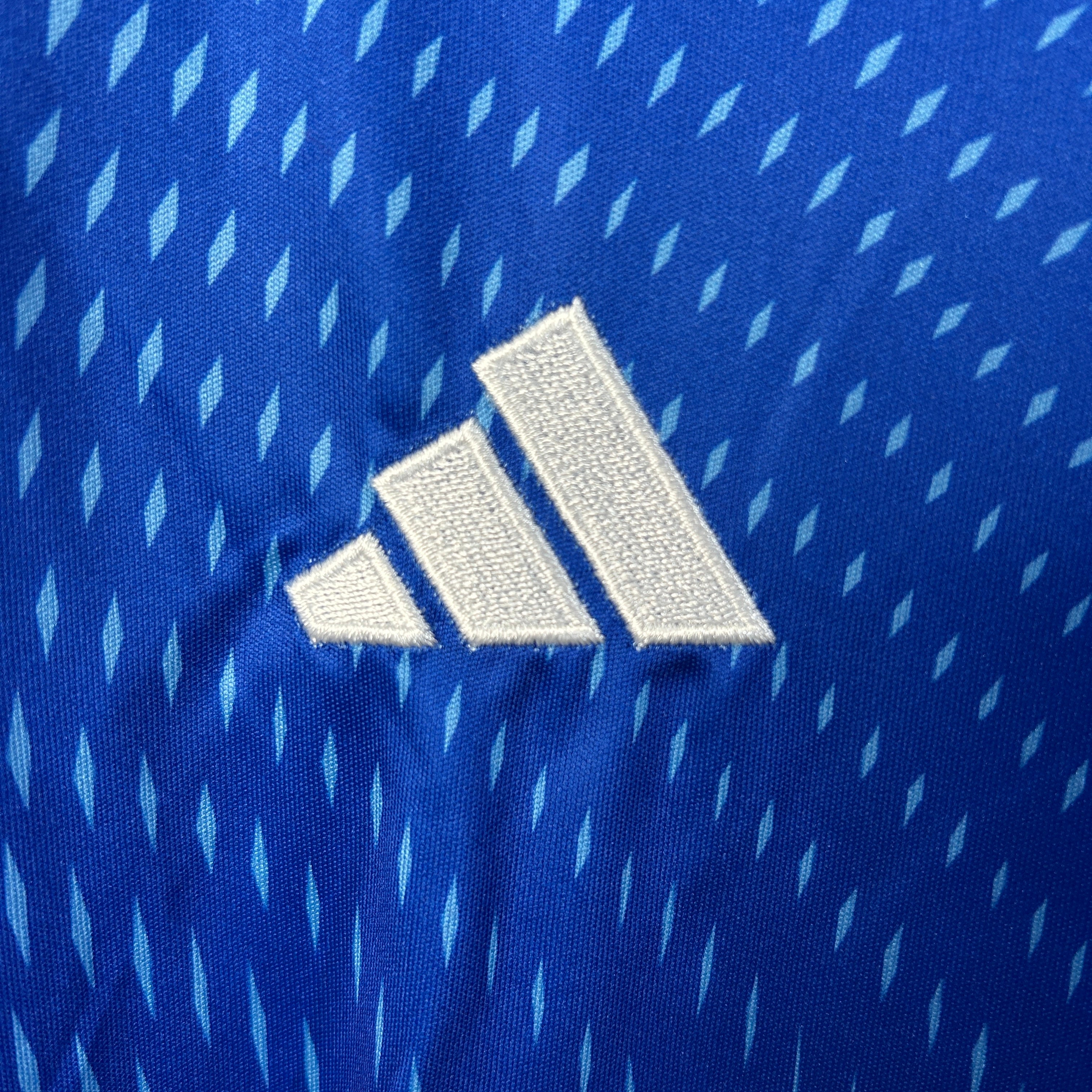 Camisola Treino Guarda-Redes SL Benfica | Azul | 2025/2026